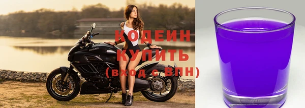 дживик Абаза