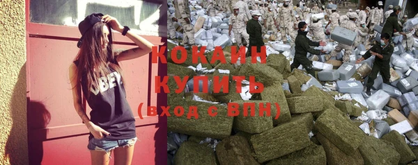 ПСИЛОЦИБИНОВЫЕ ГРИБЫ Абдулино