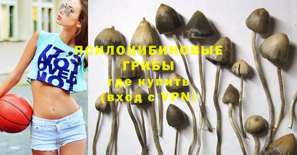 ПСИЛОЦИБИНОВЫЕ ГРИБЫ Абинск