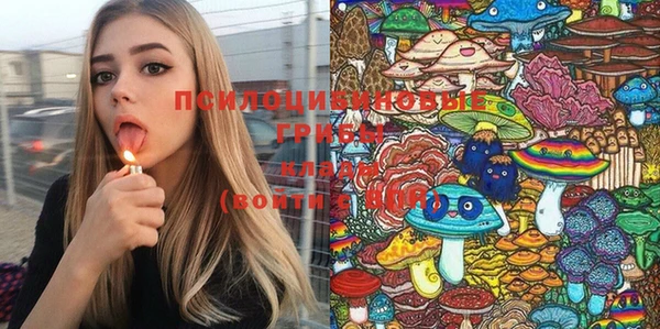 ПСИЛОЦИБИНОВЫЕ ГРИБЫ Абинск