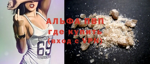 дживик Абаза