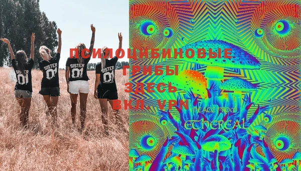 ПСИЛОЦИБИНОВЫЕ ГРИБЫ Абдулино