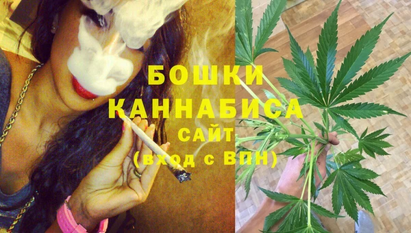 дживик Абаза