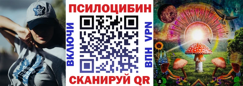 mega онион  Нестеровская  darknet Telegram  Псилоцибиновые грибы прущие грибы 